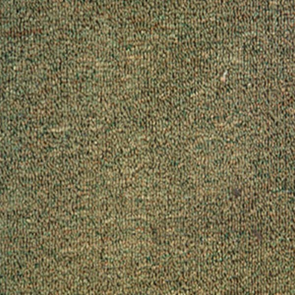 Guerrero-Sprint - Musgo
