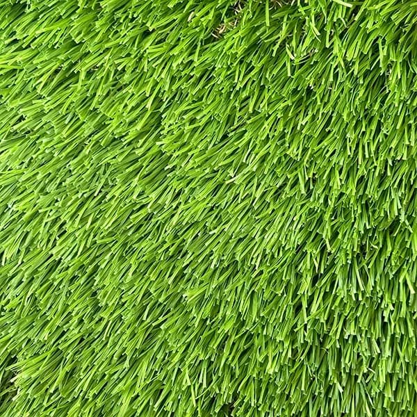 Breeze 40