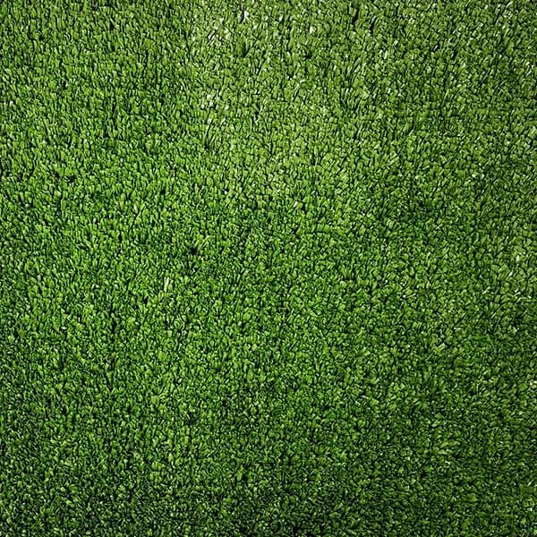 Pasto Vienna - 01215 Green