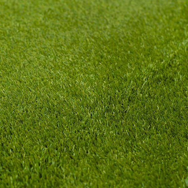 Pasto Riviera - Green 2
