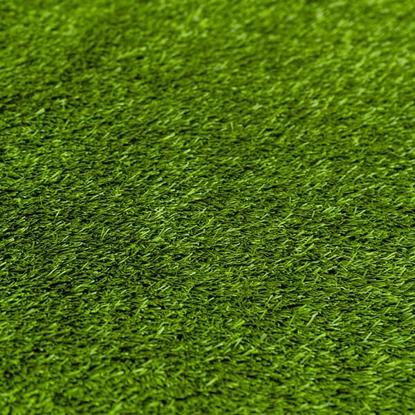 Pasto Amazonas - Green 2