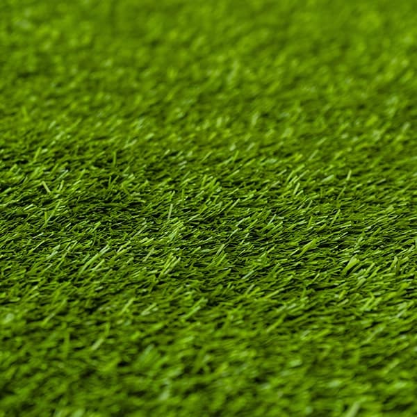 Pasto Amazonas - Green 3