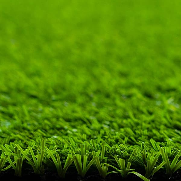 Pasto Amazonas - Green 4
