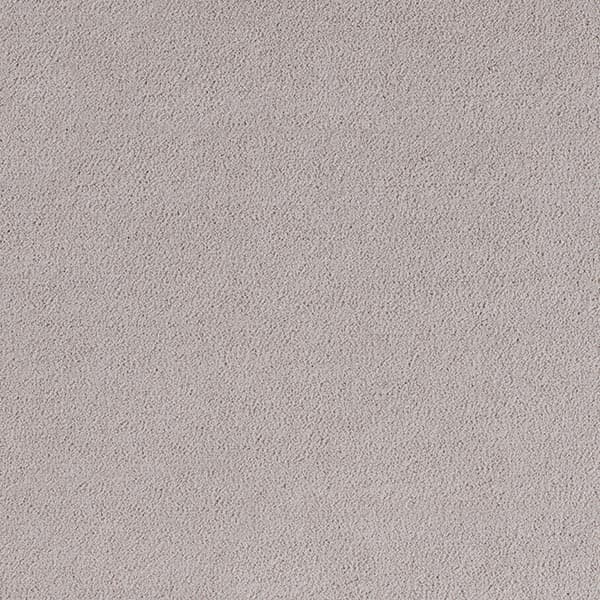 Allegro - Winter Wheat