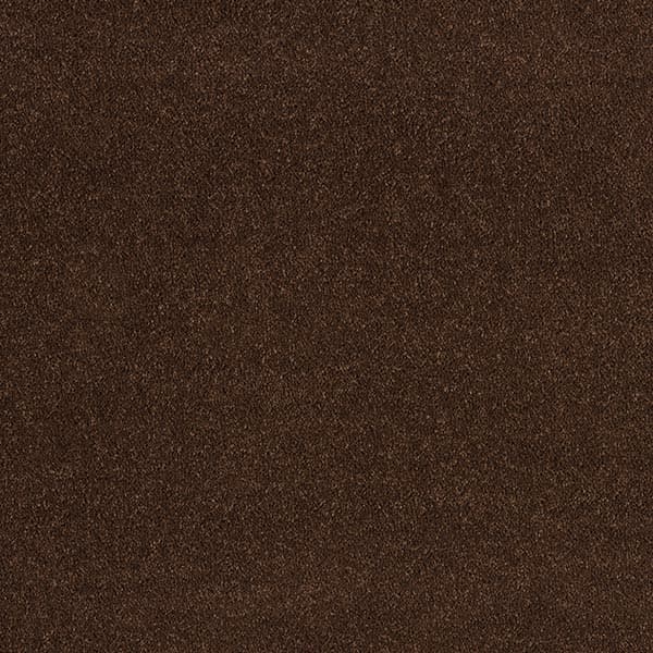 Allegro - Amber Brown