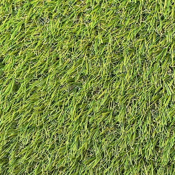 Park Ii 35