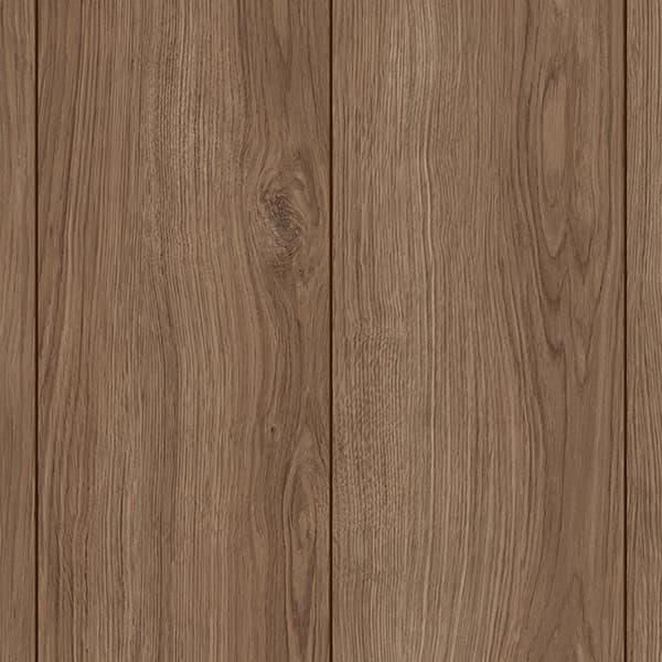 Kiwi 2
