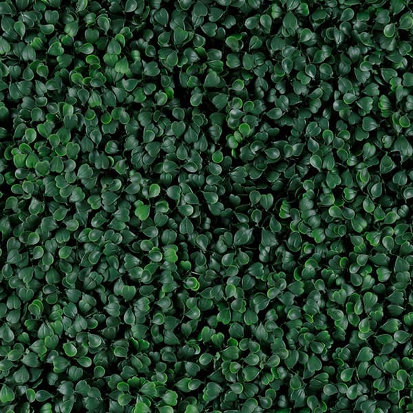 Green Walls