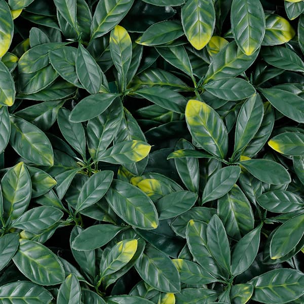 Green Walls