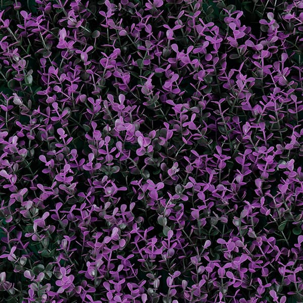 Green Walls