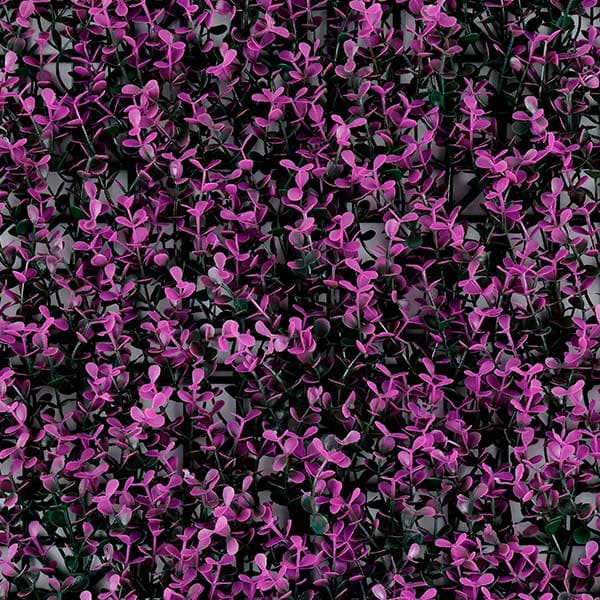 Green Walls 2
