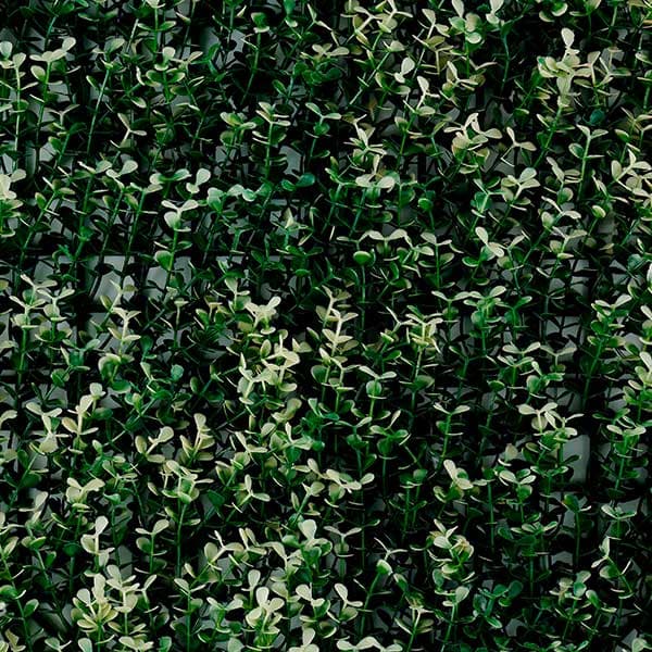Green Walls 2