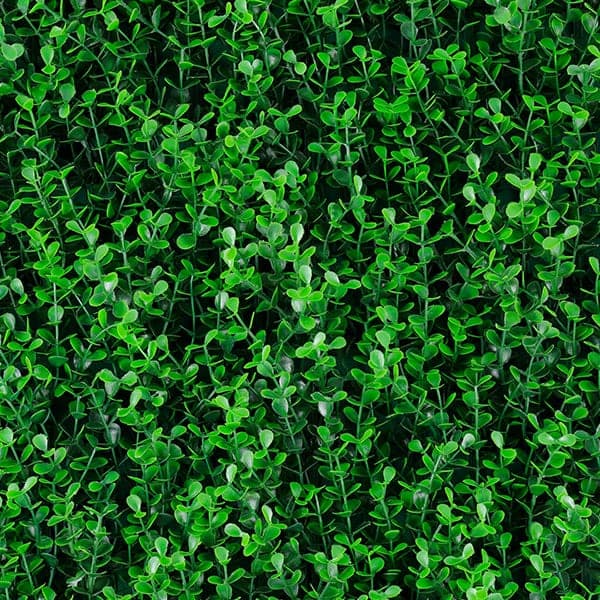 Green Walls
