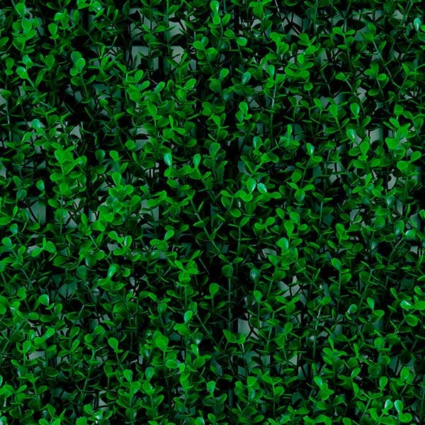 Green Walls 2