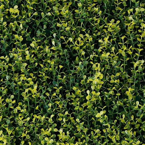 Green Walls