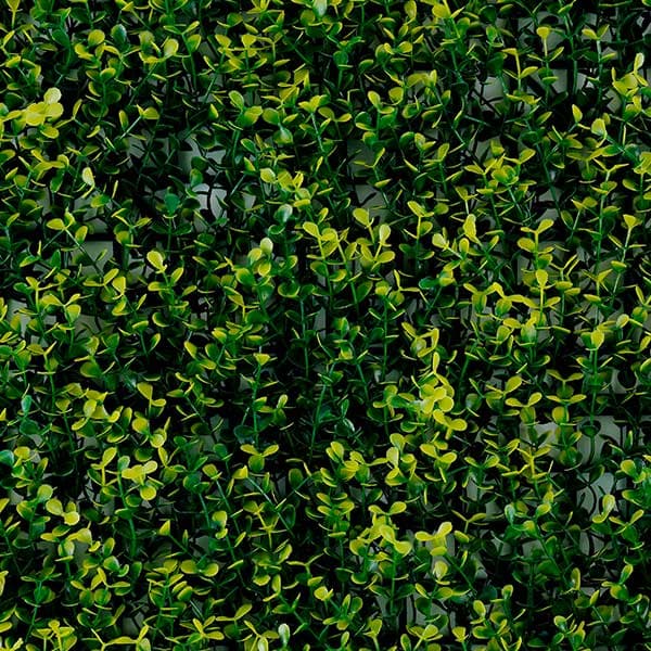 Green Walls 2
