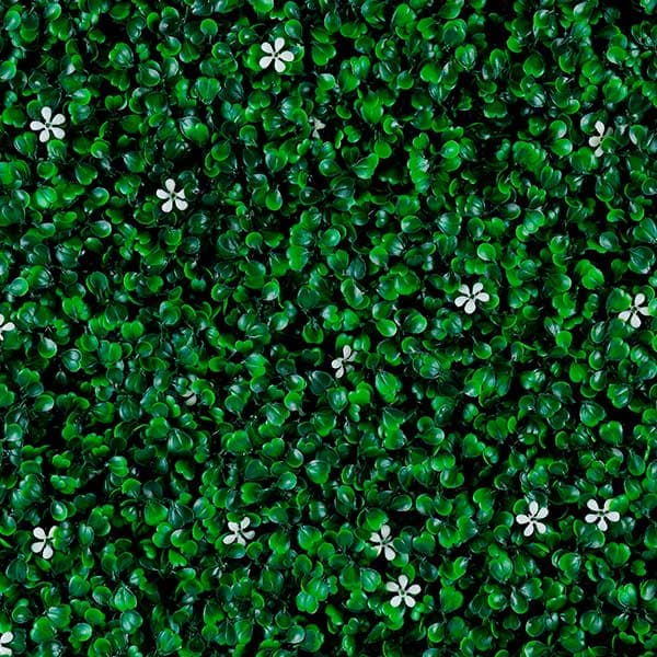 Green Walls 2