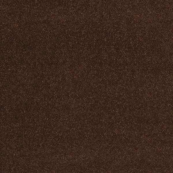 Allegro - Amber Brown
