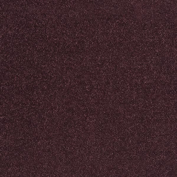 Supreme - Dark Purple