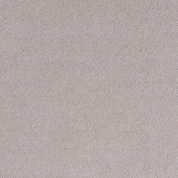 Elite - Winter Wheat