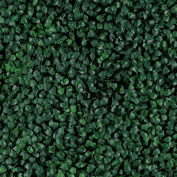 Green Walls